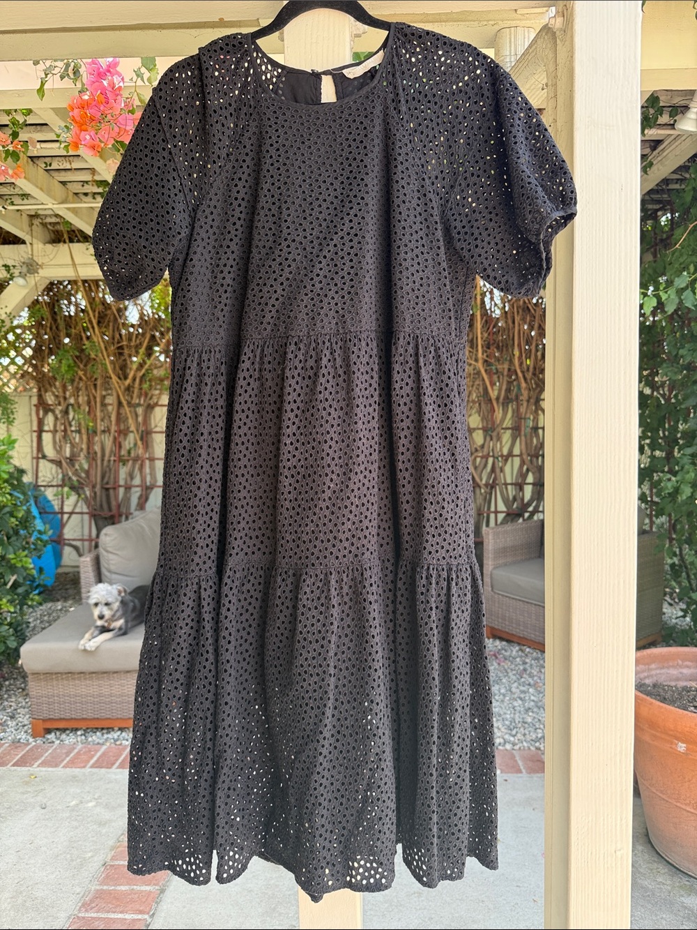 Everlane Black Eyelet Midi Dress